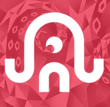 Ika Network